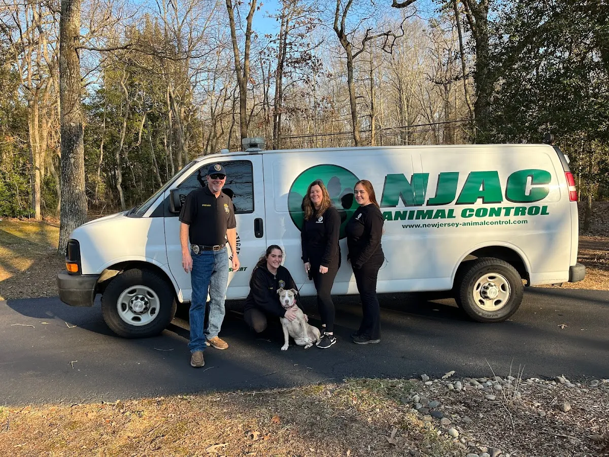 Willingboro Animal Control photo 2