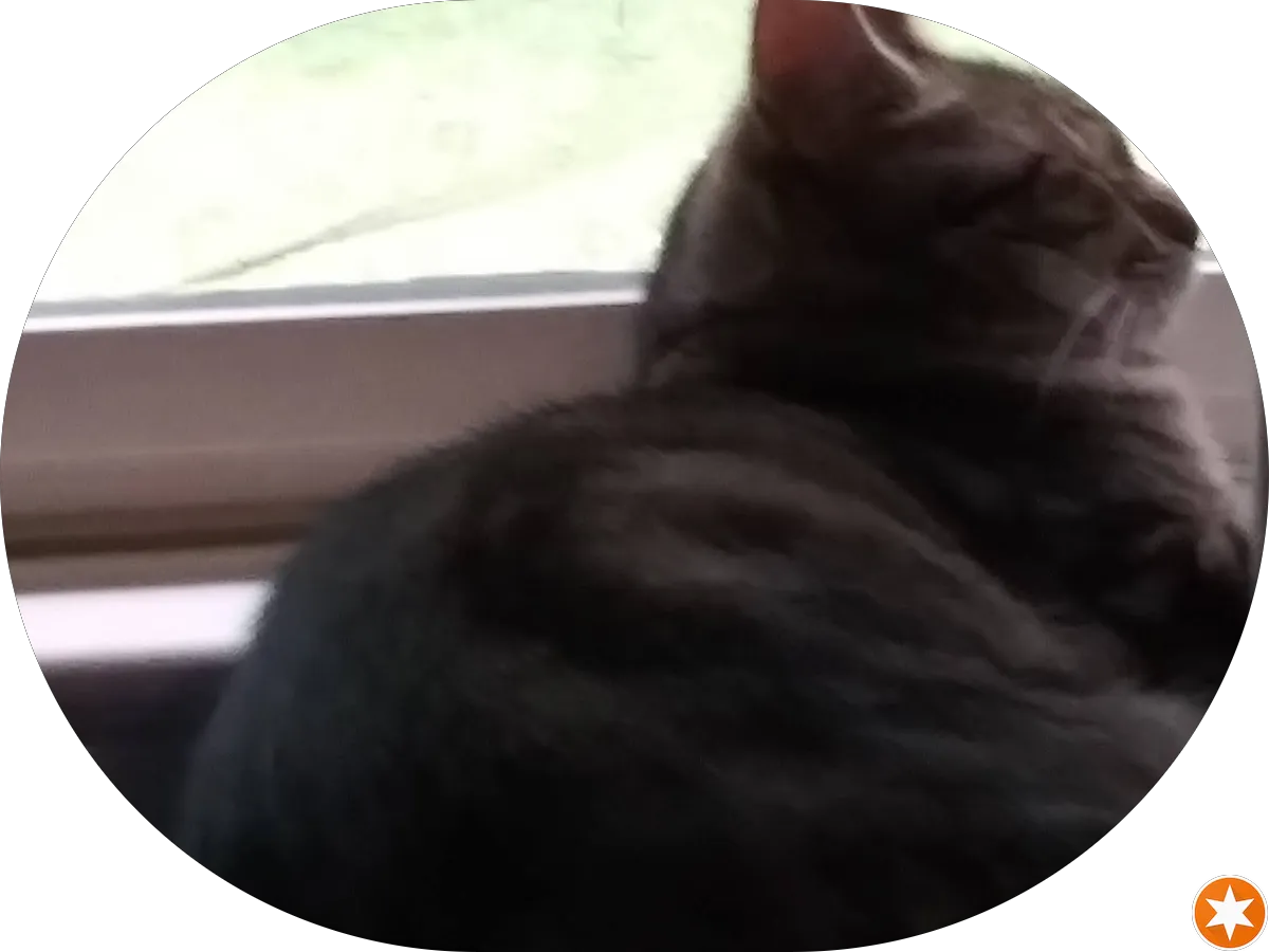 Willingboro Florist photo 5