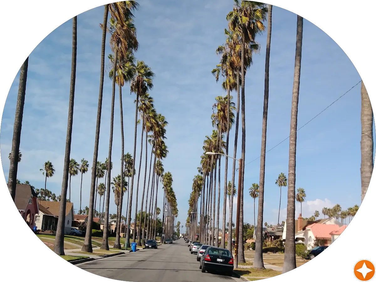 Wilson's Event Rentals photo 5