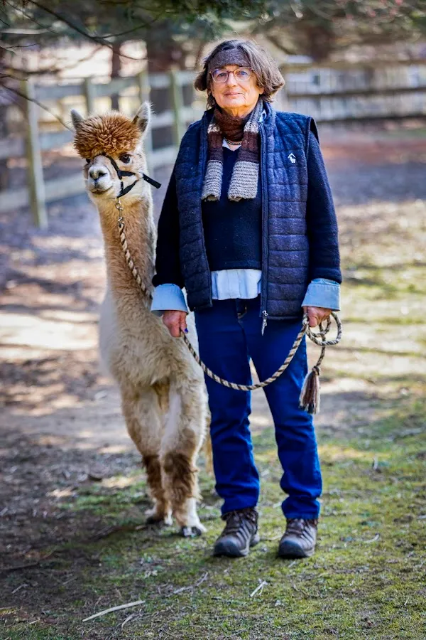 Windy Farm Alpacas photo 5