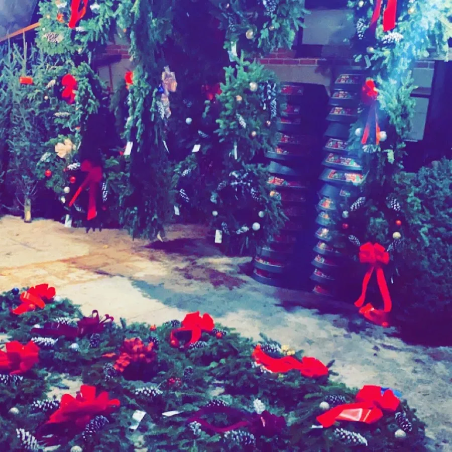 Winter Works Christmas Trees photo 2