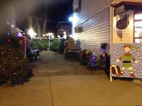 Winter Works Christmas Trees photo 3