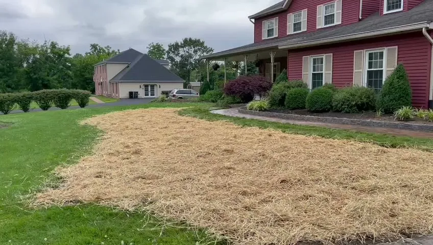 WJFlores Landscaping & Hardscaping photo 3