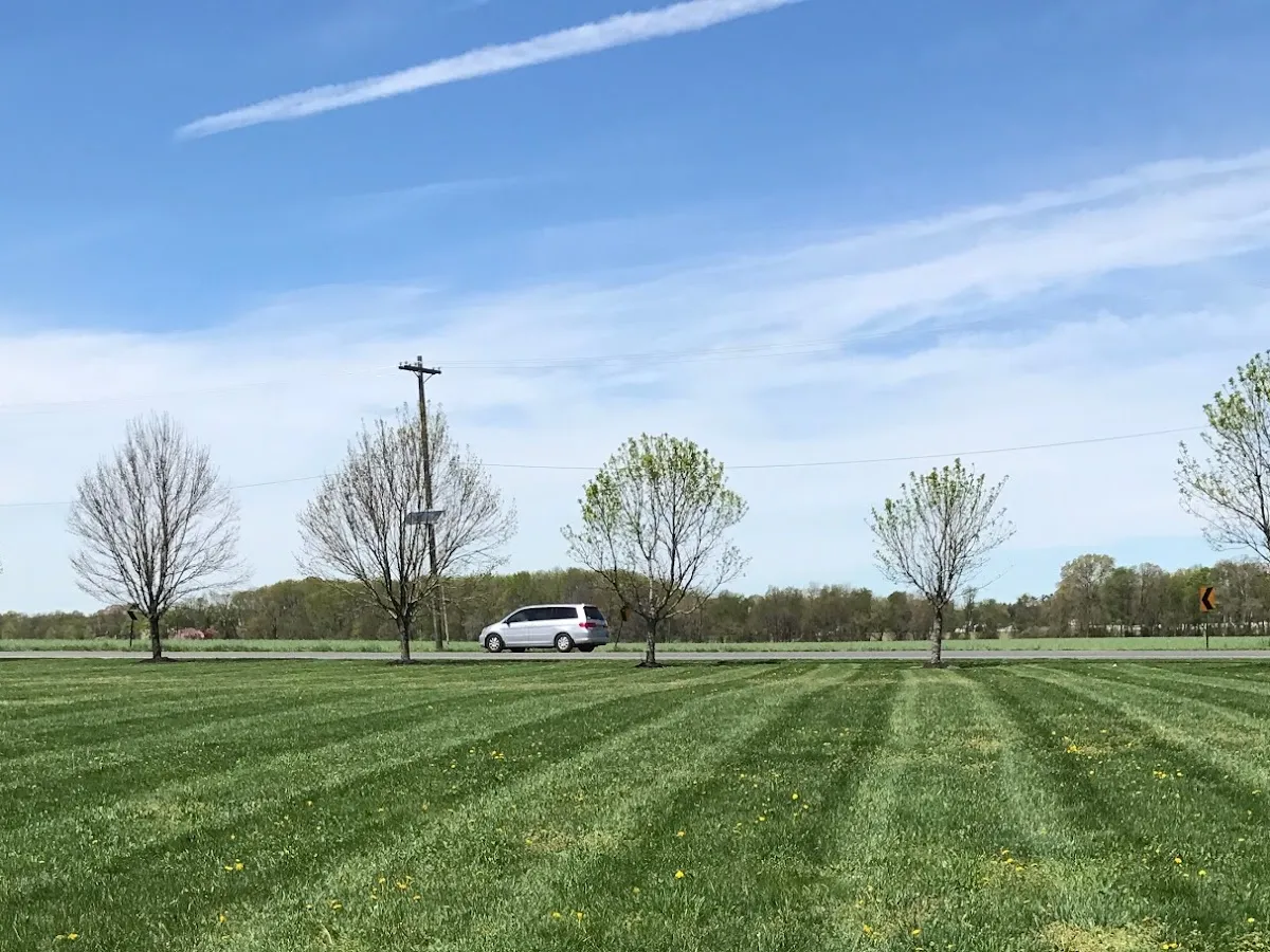 Wolfe's landscaping photo 3