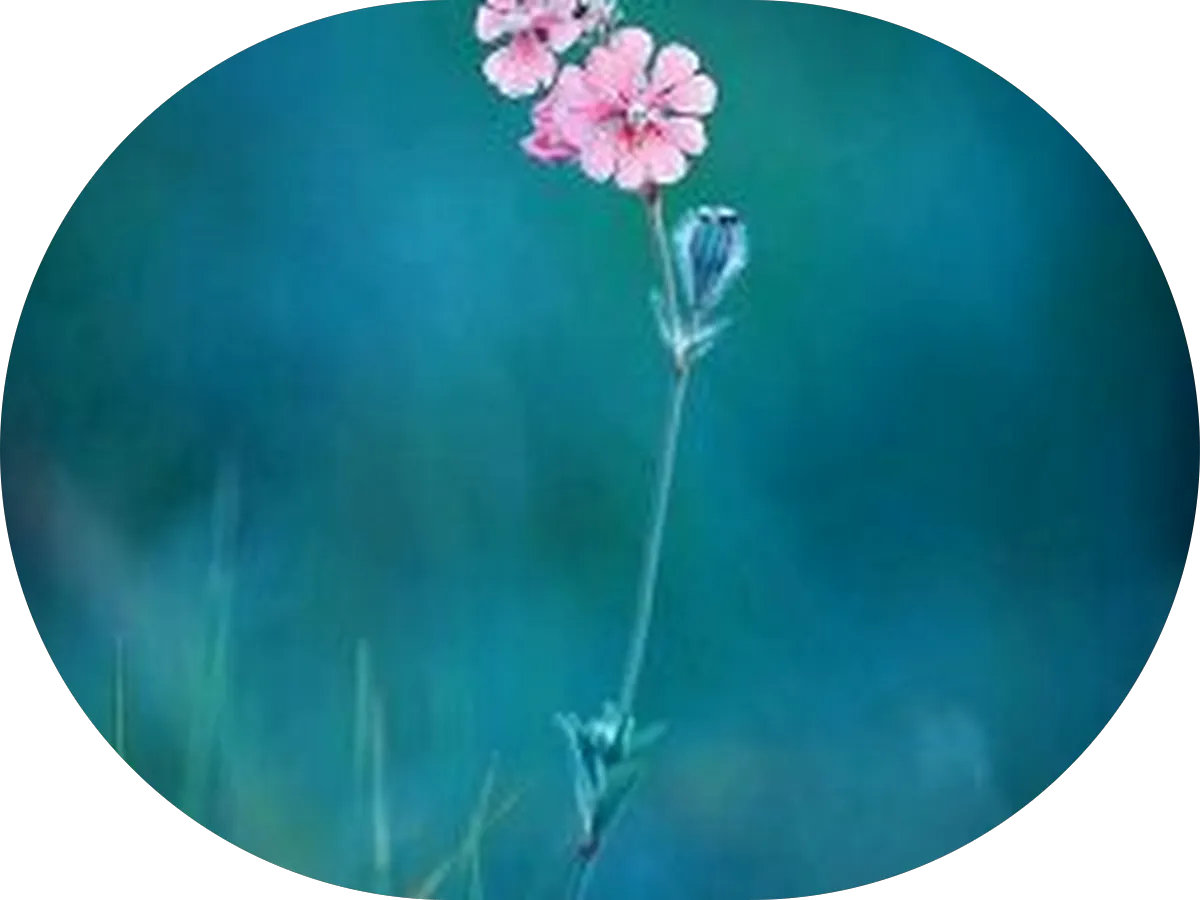 Women's Health Associates photo 3