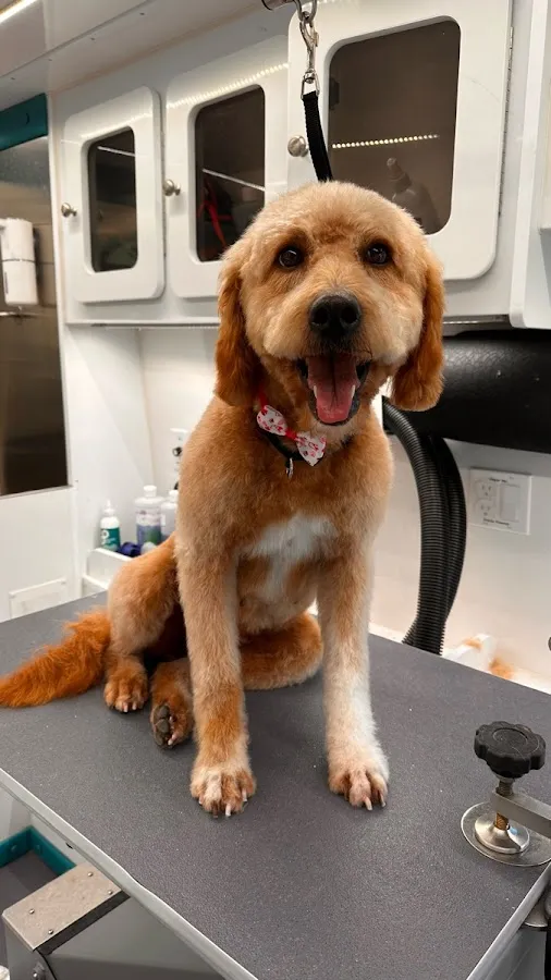 Woofie’s® of Cherry Hill