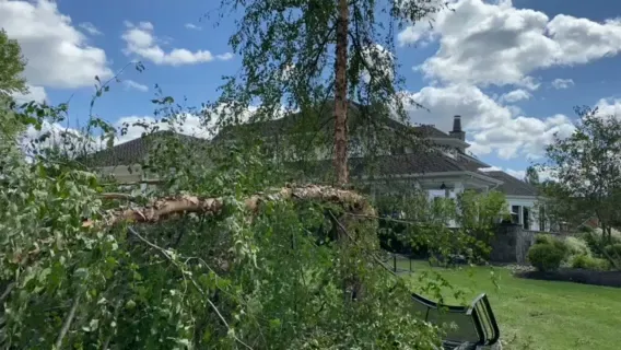 Wysocki Electric photo 3