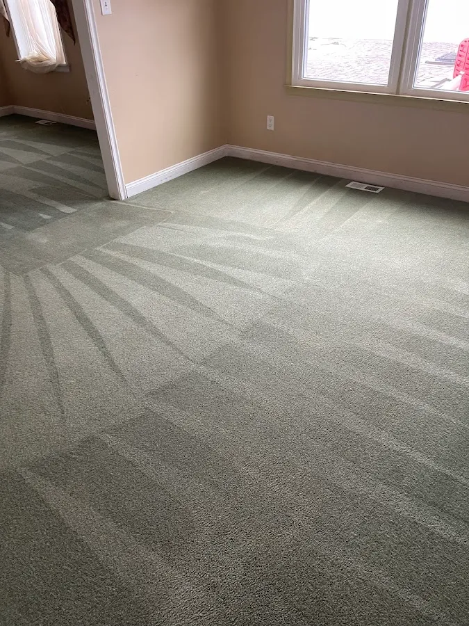 Yardley Carpet Cleaners photo 2