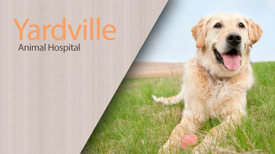 Yardville Animal Hospital