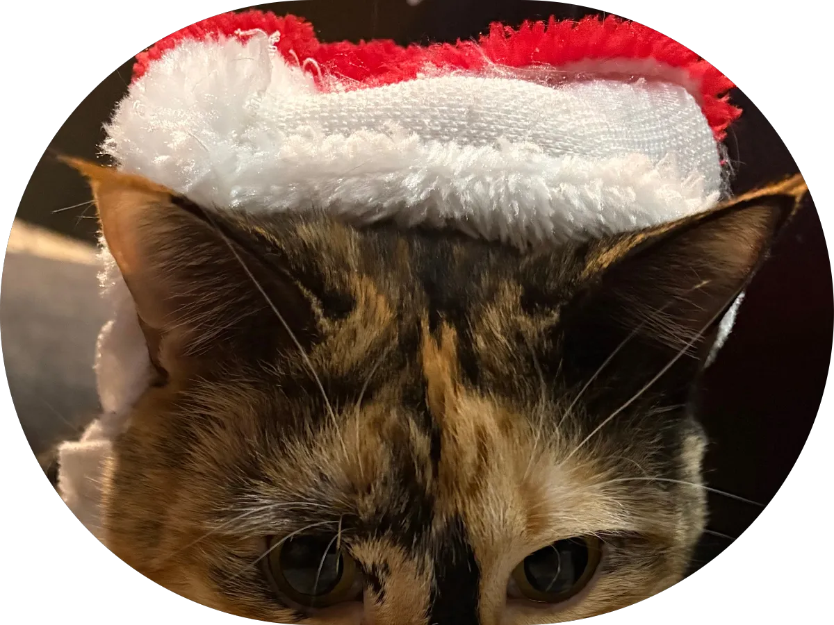 Yes's Lemonade And Ice Cream photo 5