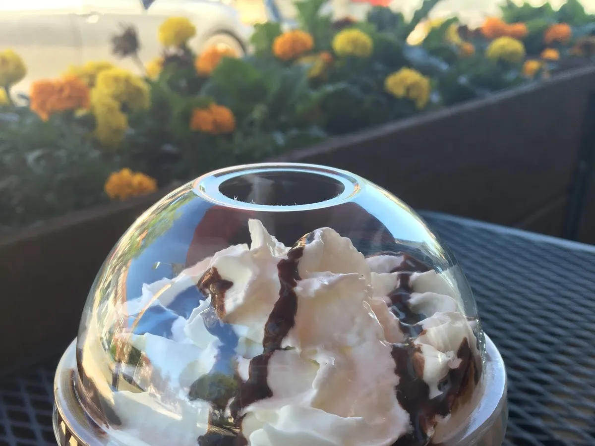 Yo-Delight Frozen Yogurt photo 5