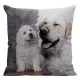 Charming Labrador Retriever throw pillow featuring a playful puppy and a relaxed adult dog.