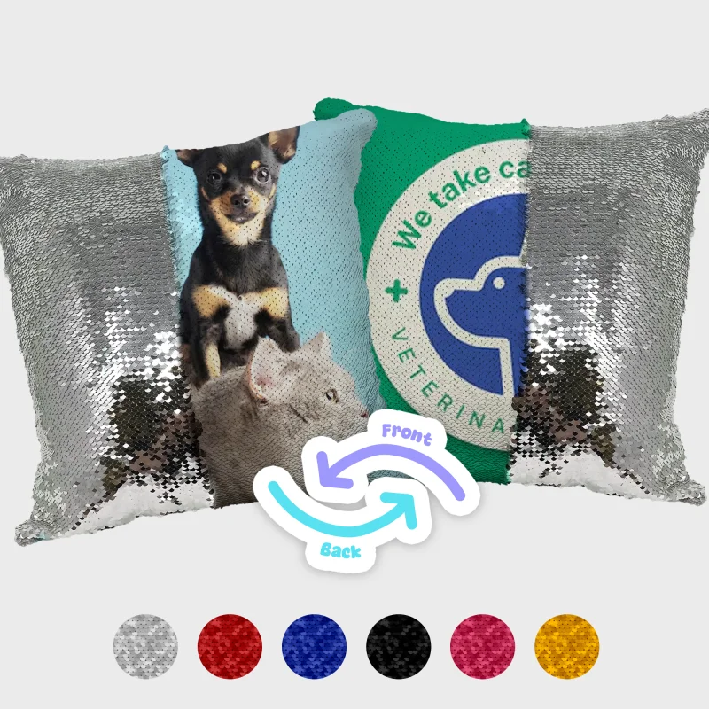 Double Sided Reversible Sequin Pillow