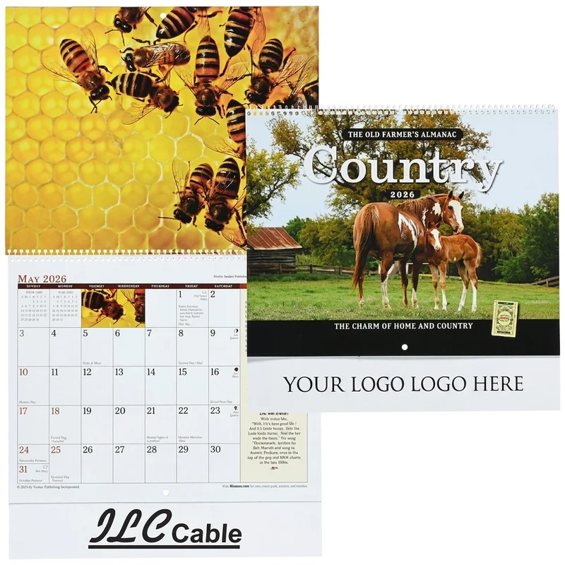 Summit Oordopjes met Verwisselbare Covers